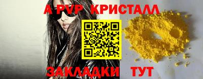 спиды Донской